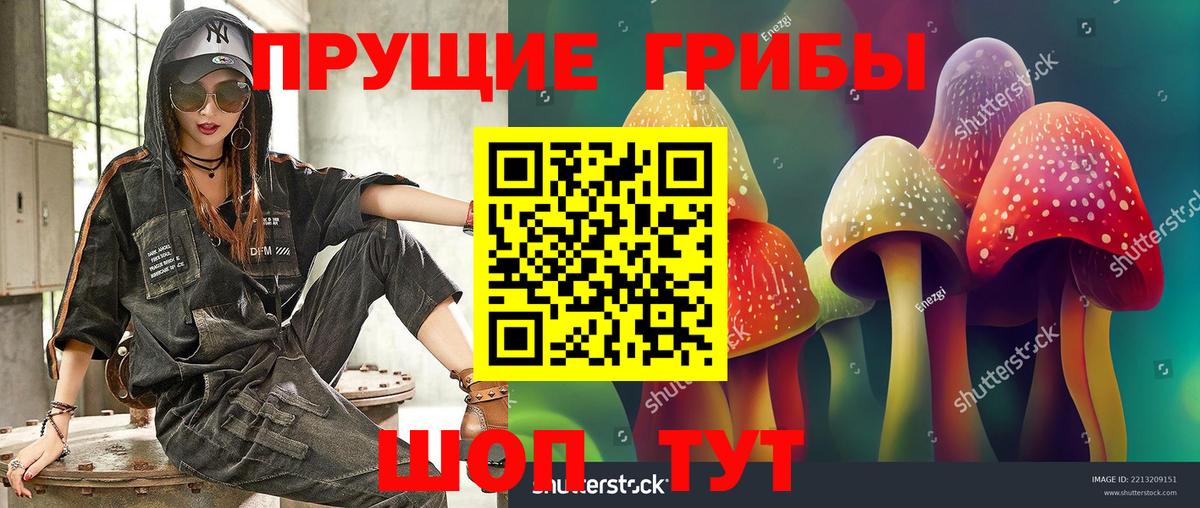Псилоцибиновые грибы ЛСД  Вход с VPN  Мценск 